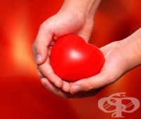 Учредиха Фондация на деца, болни от рядкото заболяване остеогенезис имперфекта